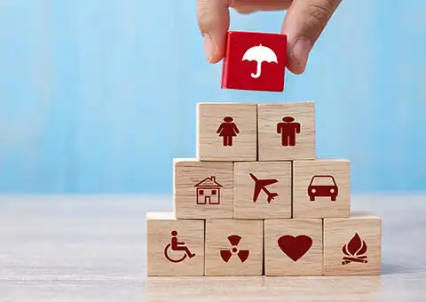 Mitglied werden BDS Bayern und Beratung erhalten